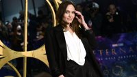 Кой беше ти: Анджелина Джоли замени Брад Пит с пазител на околната среда
