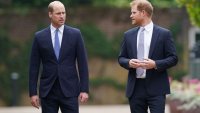 Как &bdquo;разочарованият&ldquo; принц Уилям ще отговори на публичния призив на принц Хари за помирение