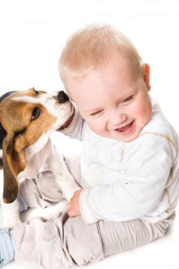 Как да запознаете кучето с вашето бебе - Tialoto