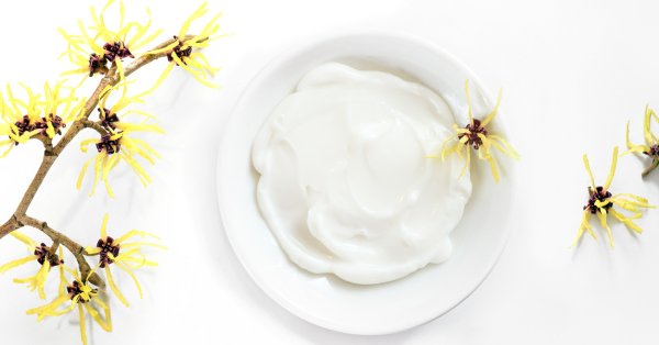 Има причина поради която хамамелисът се използва от векове като