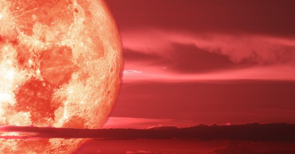 Ягодова луна е новото астрологично събитие на което ще станем