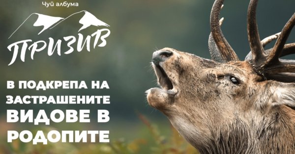 Кампанията Призив – в подкрепа на застрашените видове в Родопите