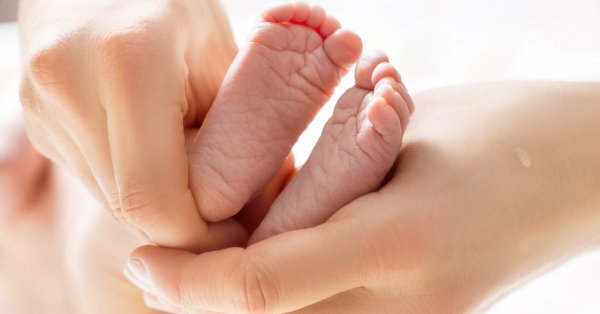 Добре дошла Леа Радослав Гочева Това написа инфлуенсърката Мона в социалните