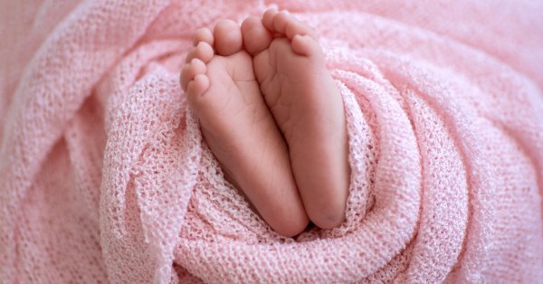 Тони Стораро празнува за първата си внучка Фолкпевецът който е