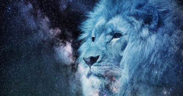 През 2022 г Лъвовете ги очаква глътка свеж въздух обещаващи