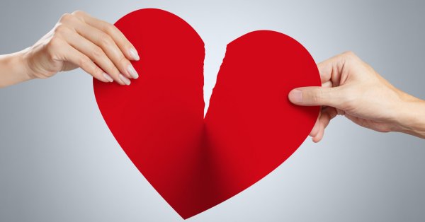 Всяка зодия има своите особености От това което обича цели