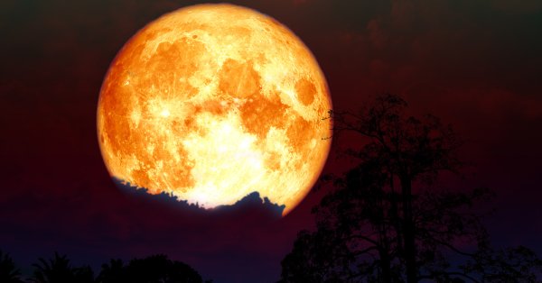 Кървава луна е онова което привлече вниманието ни две поредни