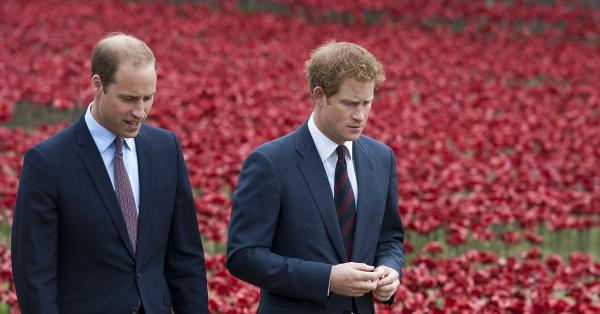 39-годишният принц Уилям и 36-годишният принц Хари ще изнесат отделни