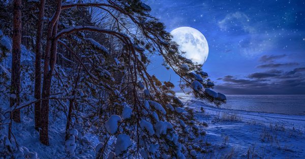 Пълнолуние е последното важно астрологично събитие за декември 2022 а То