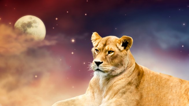 10 стереотипа за зодия Лъв, които са напълно погрешни - Tialoto