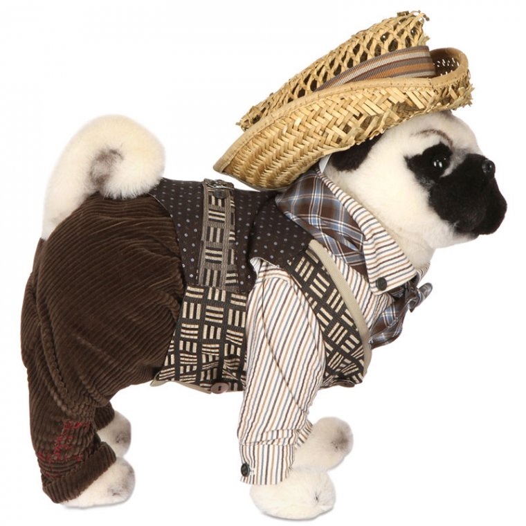 Осинови кученце с маркови дрехи - Tialoto